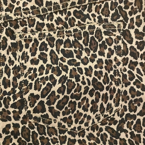 Leopard pants - Picture 6 of 7